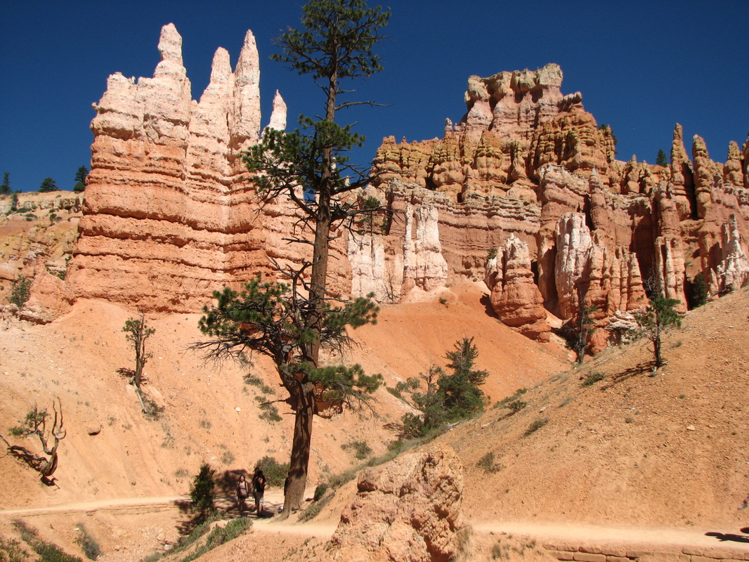 Bryce Canyon, one of my favorite National Parks.