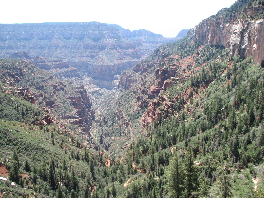View from North Kaibab Trail at the Grand Canyon.