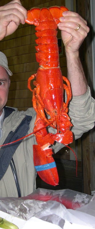 Eating at Beal's Lobster Pier, Southwest Harbor, Maine.