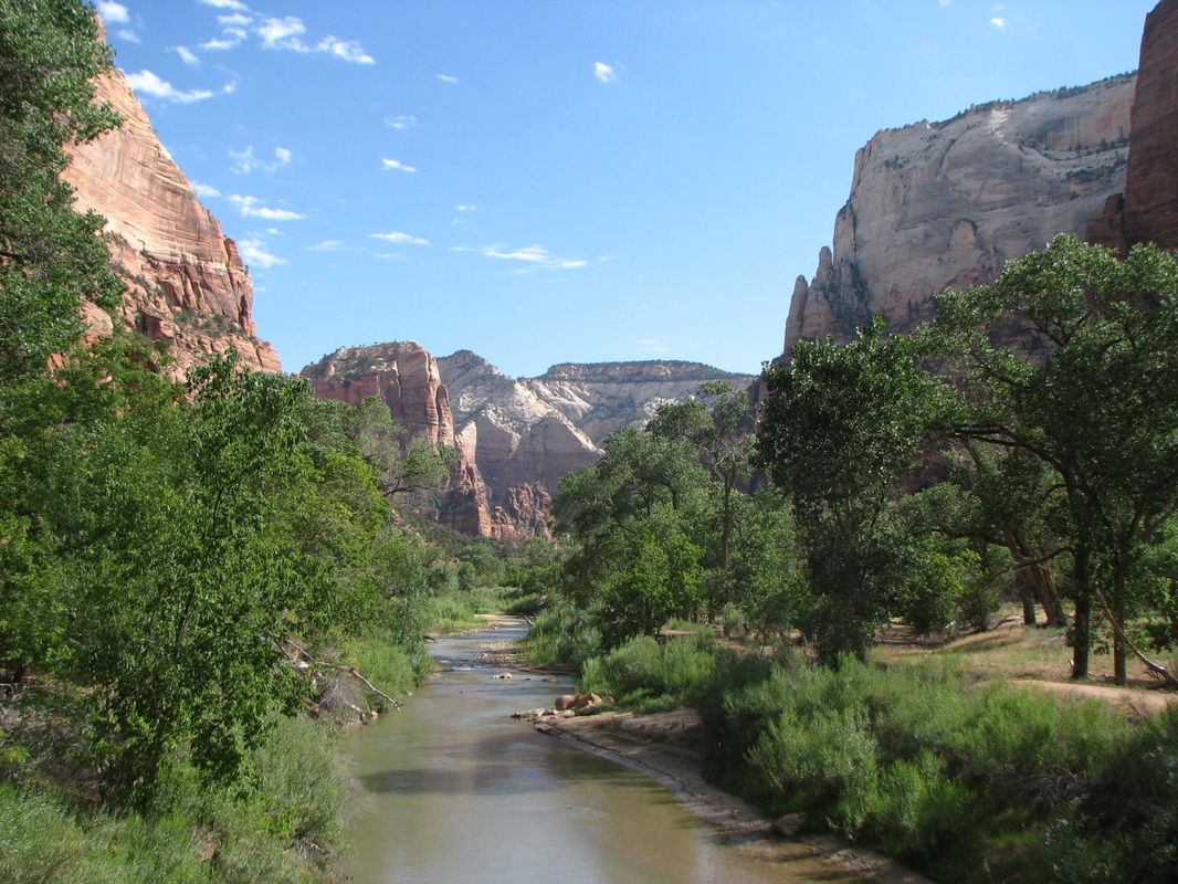 Took the early morning nature walk along the Virgin River in Zion National Park.