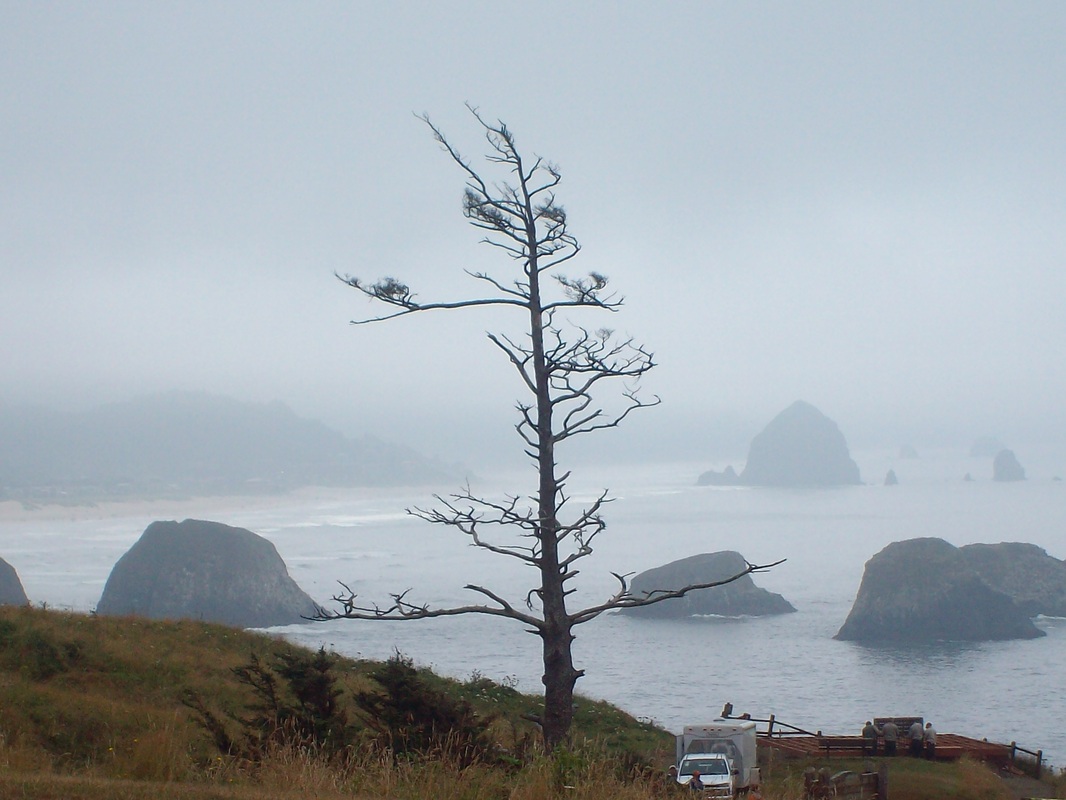 Beautiful Ecola State Park on the rugged Oregon coast. 