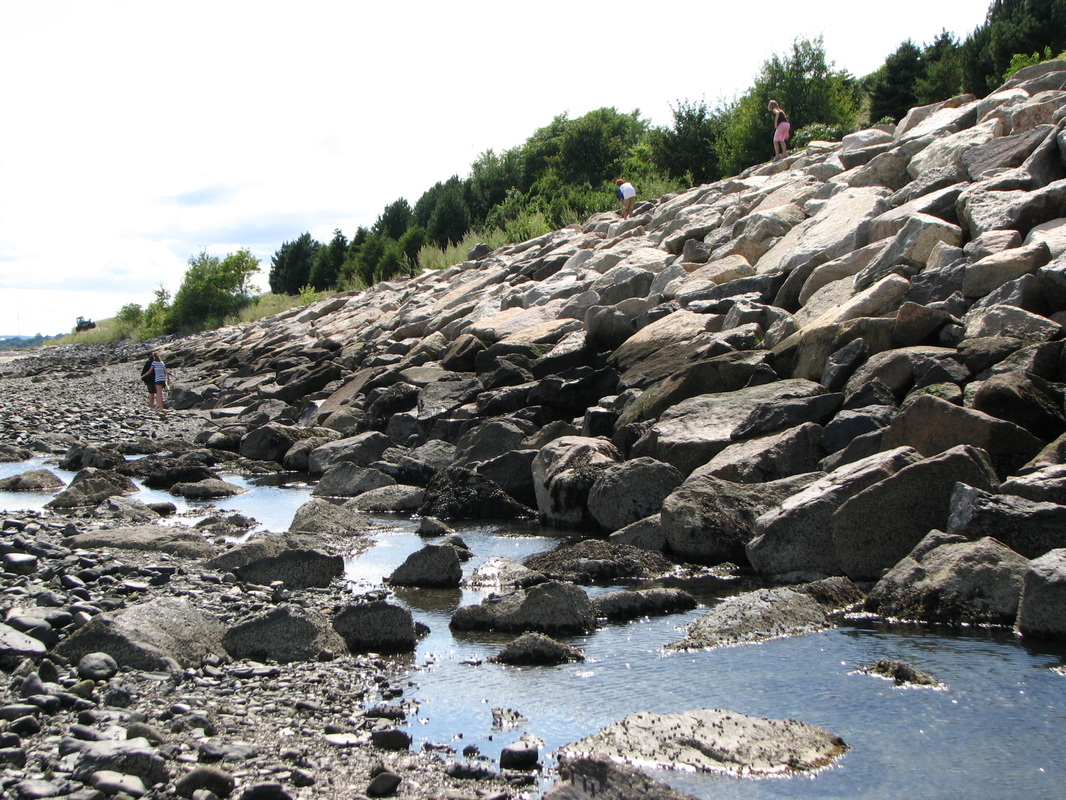 Take the ferry to Boston Harbor Islands National Park for a fun day excursion.