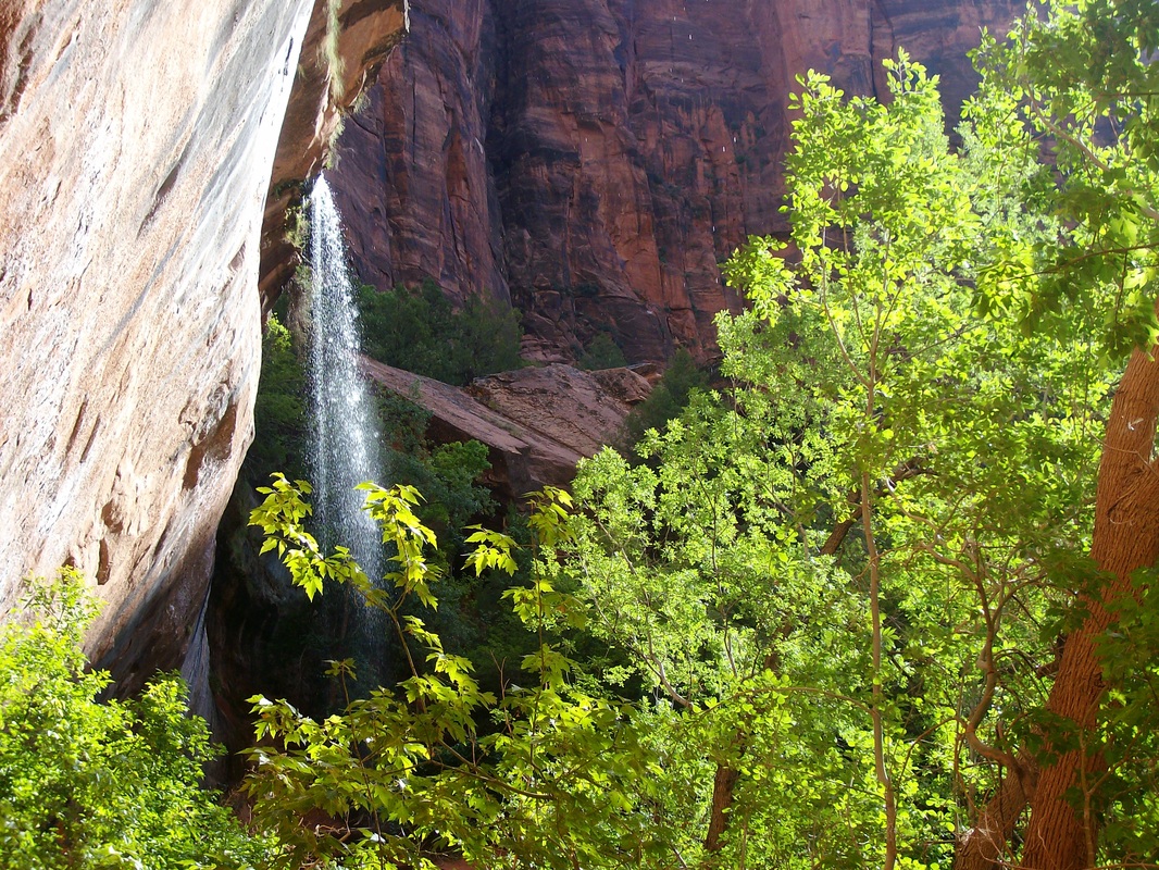 Emerald Pools Trail in Zion offers some waterfall views.