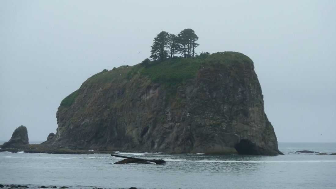 View from the beach in rugged La Push, on the Olmypic Peninsula
