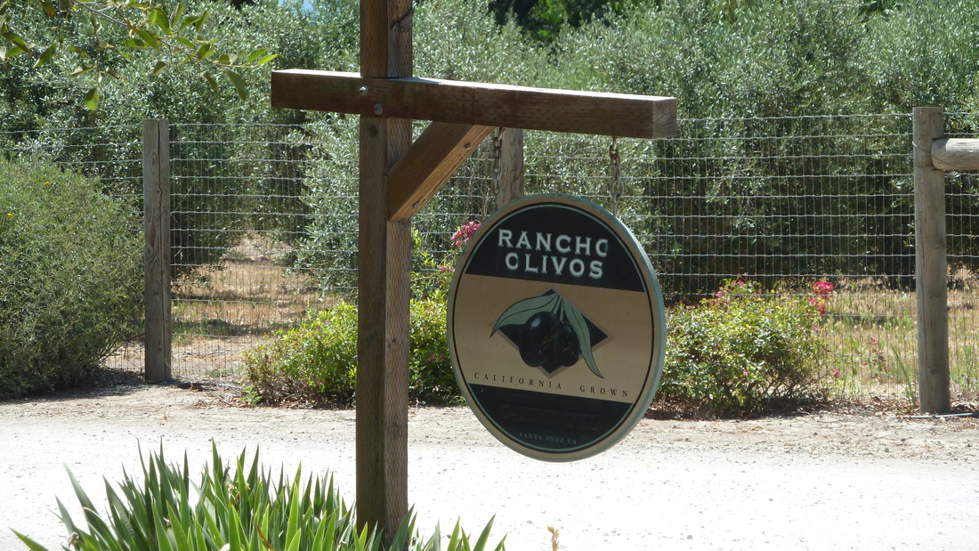 Stopped off at Ranchos Olivos for an olive oil tasting.